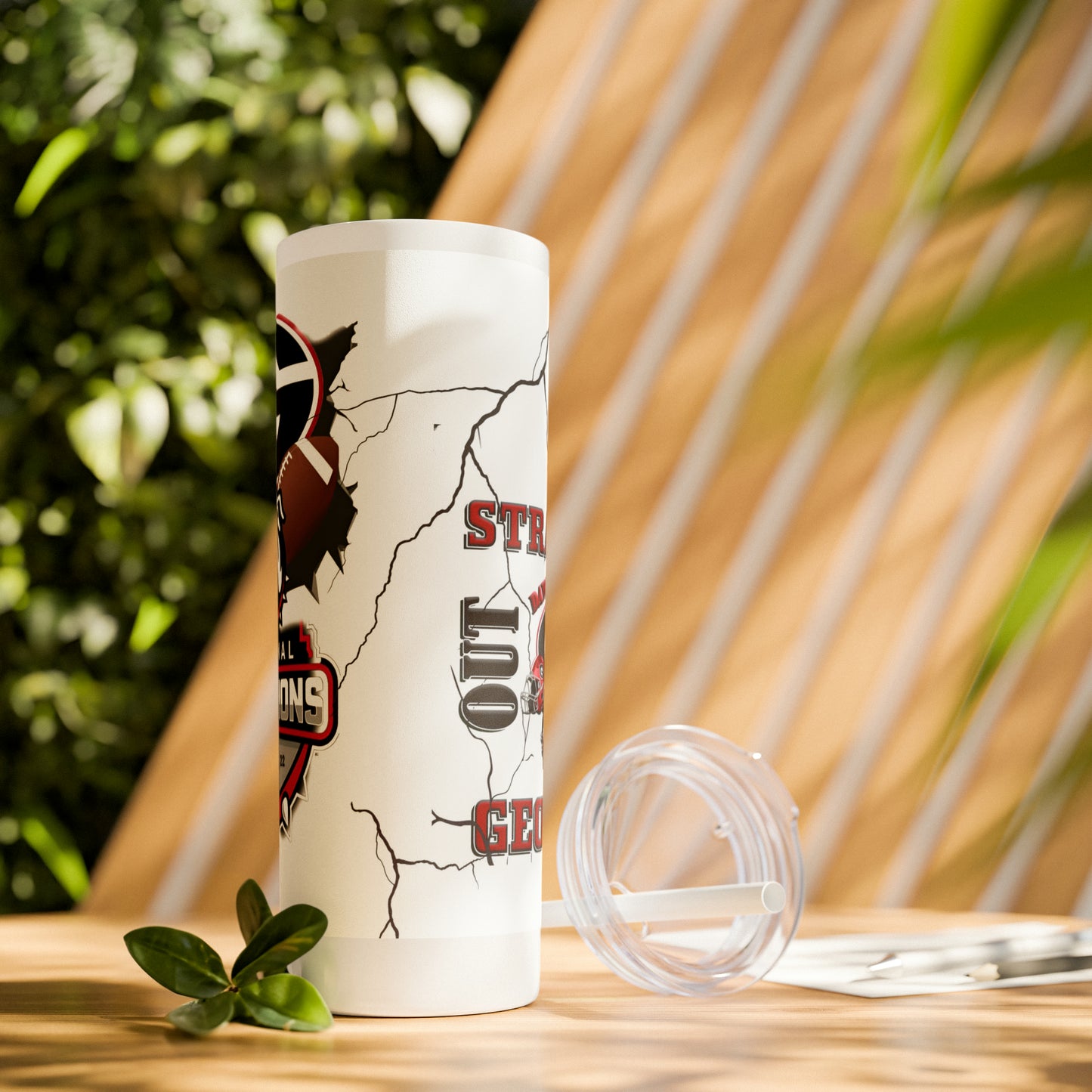 Skinny Tumbler with Straw, 20oz